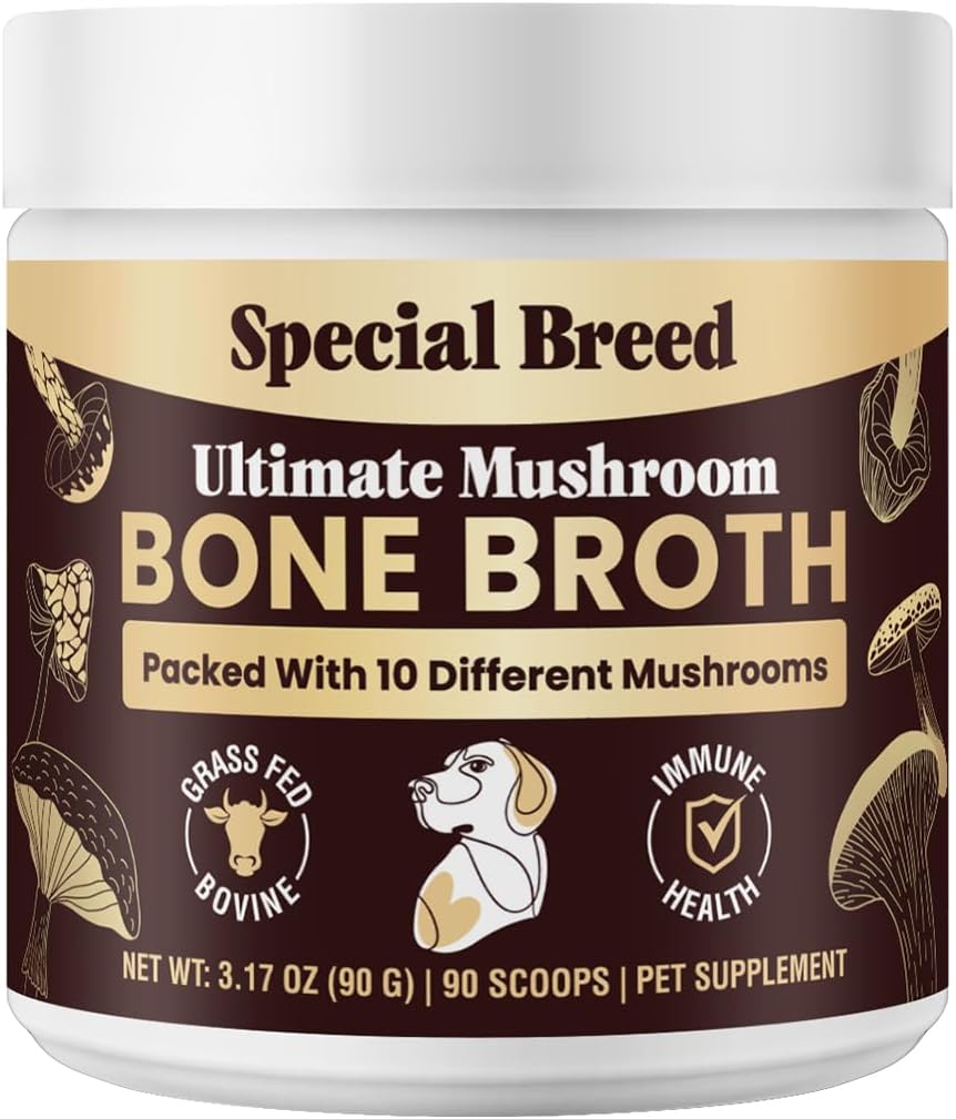 Special Breed Caldo de Huesos de Res para Perros - Proteína Alta con 10 Setas Orgánicas y Colágeno