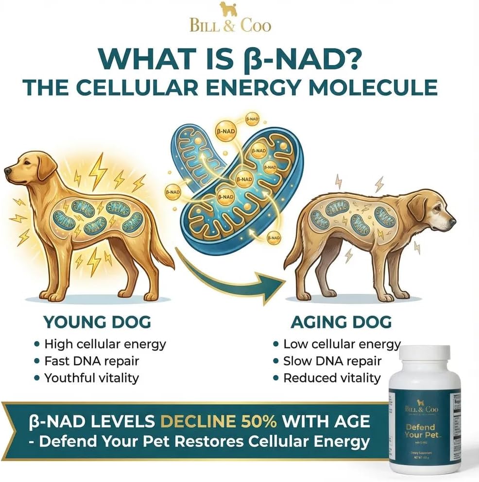BILL & COO Defend Your Pet β-NAD Supplement for Senior Dogs – Advanced Cellular Anti-Aging with Vitamins C, D, K2, Probiotics & Digestive Enzymes – 105g