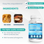 BIO VITALICA Gomitas de Sea Moss y Ashwagandha - Orgánicas con Bardana y Bladderwrack - 2 Paquetes (120 gominolas)