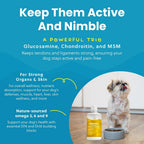 Paramount Pet Health Multivitamínico Líquido para Perros con Probióticos, 946 ml
