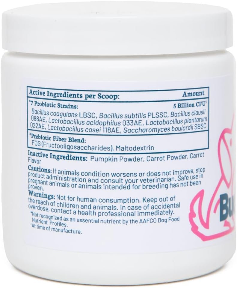 Probiótico + Prebiótico en Polvo para Perros – 7 Cepas Probióticas con FOS Prebiótico, Apoya la Flora Intestinal, Salud Digestiva e Inmunitaria, 5 Mil Millones de UFC por Cacito