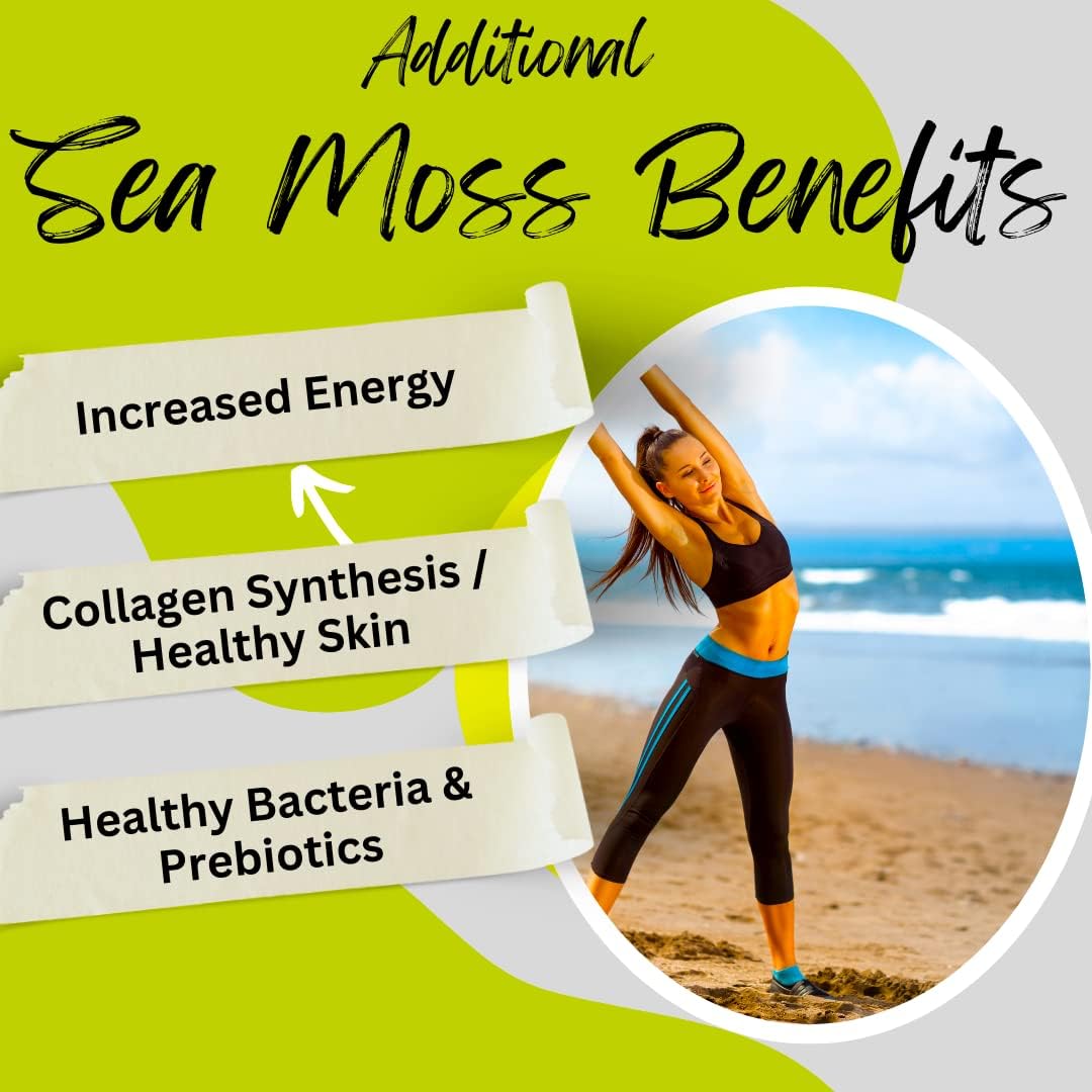 Advanced Bionetix Cápsulas de Musgo Marino Orgánico Irish Sea Moss con Bladderwrack y Bardana (120 Cápsulas)