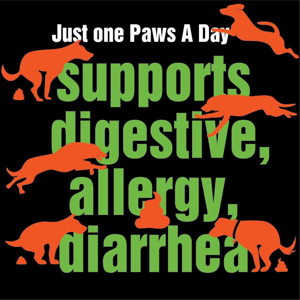 Probióticos para Perros - Alivio de Alergias y Picor - 3B UFC - 60 Masticables - Paws A Day