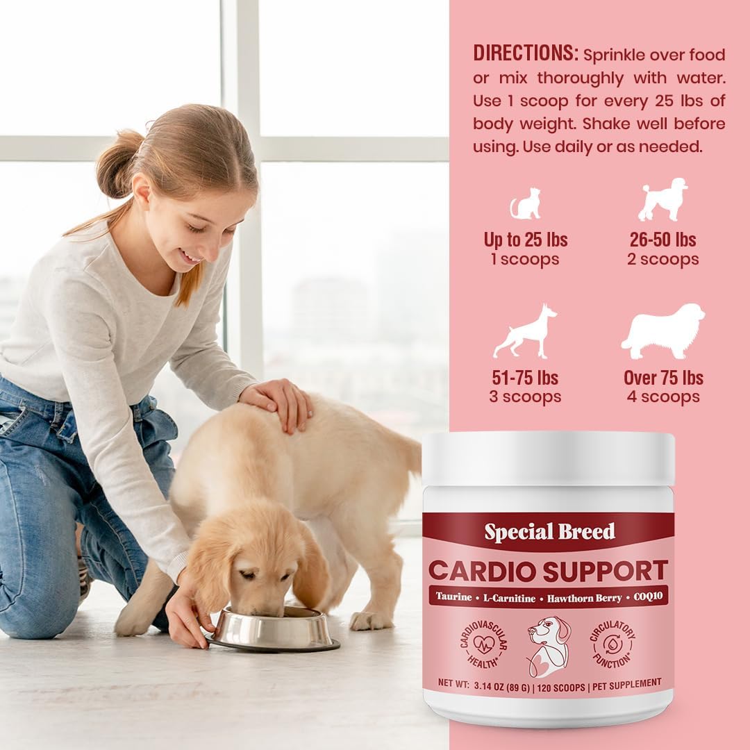 Special Breed Cardio Support – Suplemento cardíaco para perros con taurina, L-carnitina, CoQ10 y espino blanco orgánico – 120 dosis