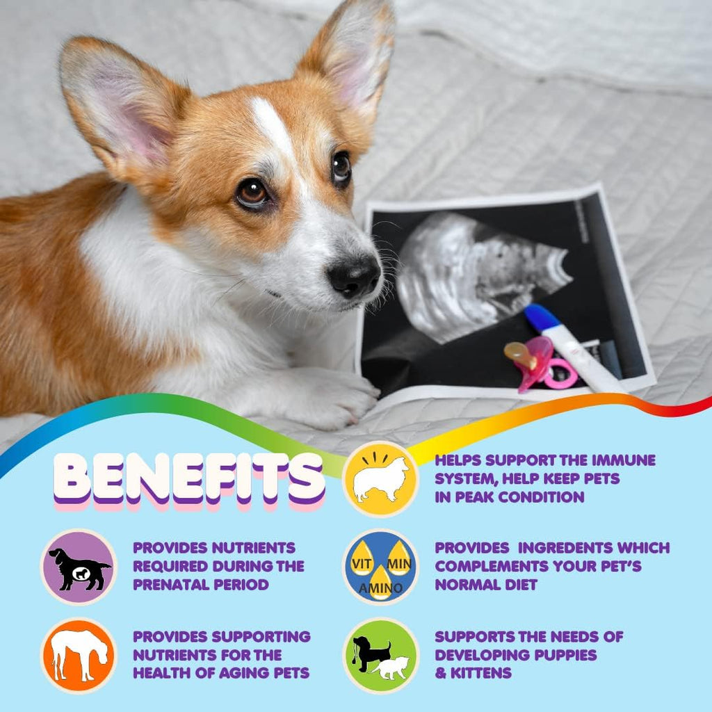 Vitaminas Prenatales para Perros – Ácido Fólico, Calcio y Hierro
