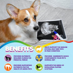 Vitaminas Prenatales para Perros – Ácido Fólico, Calcio y Hierro