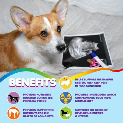 Vitaminas Prenatales para Perros – Ácido Fólico, Calcio y Hierro – Image 4