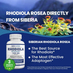 Simply Potent Rhodiola Rosea Siberiana 1000mg con Bioperine - 180 Cápsulas