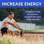 MiracleMulti Performance Blend - Men's Multivitamin with Probiotics and Superfoods