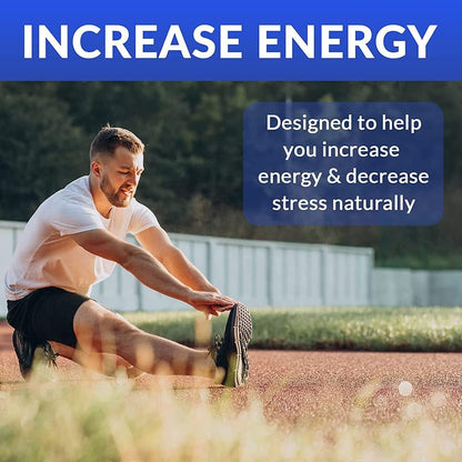 MiracleMulti Performance Blend - – Digestión y absorción: Los probióticos y enzimas digestivas favorecen una – Image 4