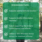 PROVITA Artemisinin Pro | Cápsulas de Extracto de Artemisia annua 50:1 | Apoyo al Bienestar General