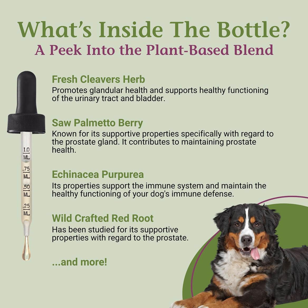 ProsPet Gotas para la Salud de la Próstata y Vejiga en Perros - Suplemento Herbal - 59 ml