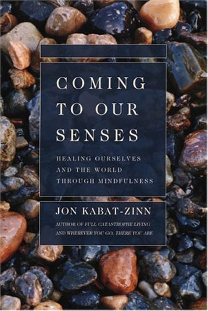 Coming to Our Senses: Healing Ourselves and the World Through Mindfulness – Image 1