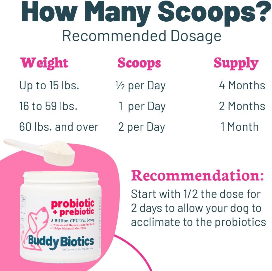 Probiótico + Prebiótico en Polvo para Perros – 7 Cepas Probióticas con FOS Prebiótico, Apoya la Flora Intestinal, Salud Digestiva e Inmunitaria, 5 Mil Millones de UFC por Cacito