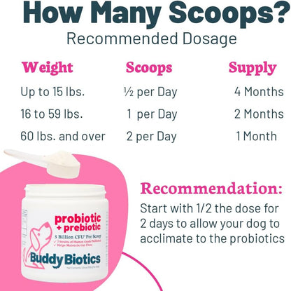 Probiótico + Prebiótico en Polvo para Perros – 7 Cepas Probióticas con FOS Prebiótico, Apoya la Flora Intestinal, Salud – Image 4