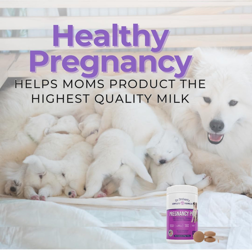 Dr Orchards Pregnancy Pro Vitaminas prenatales para perros - Suplemento premium para embarazo, lactancia y salud del cachorro, 90 comprimidos