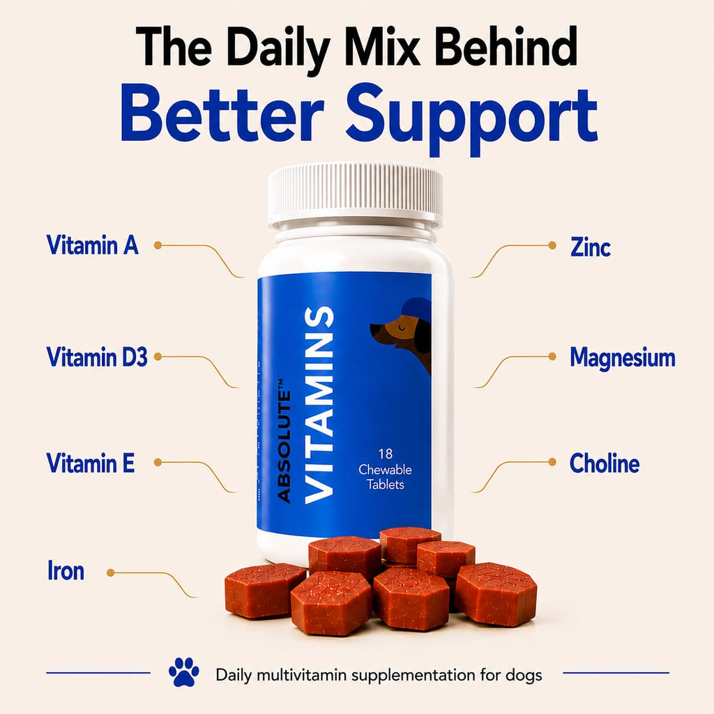 Drools Absolute Vitamin Tablet - Suplemento Multivitamínico para Perros, 110 Comprimidos