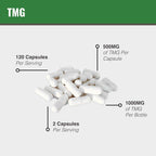 MAAC10 TMG 1000mg - Suplemento de Trimetilglicina (Betaína Anhidra) - Apoyo a la Metilación y Metabolismo de la Homocisteína - 120 Cápsulas