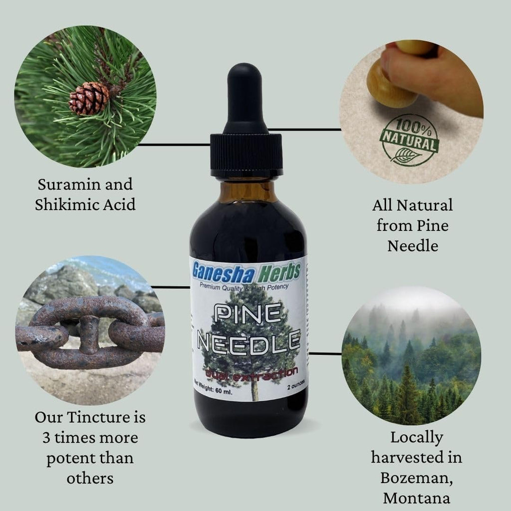 Ganesha Herbs Tintura Líquida de Agujas de Pino – 60 ml