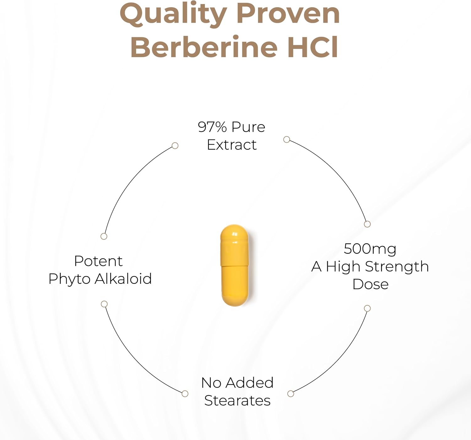 Sandhu's Berberina HCL 500mg por cápsula - 60 Cápsulas - Extracto de Berberis Aristata al 97% - Sin OGM, Vegetariano, Sin Gluten