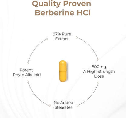 Sandhu's Berberina HCL 500mg por cápsula - 60 Cápsulas - Extracto de Berberis Aristata al 97% - Sin OGM, Vegetariano, Sin – Image 10
