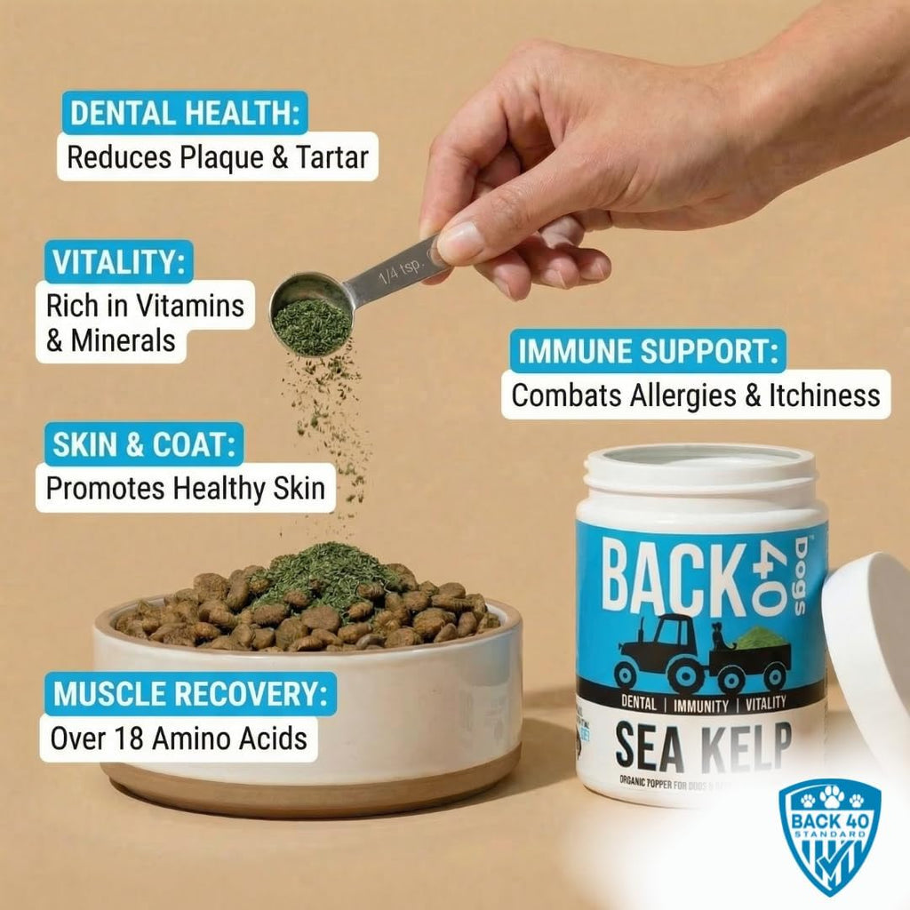 Organic Kelp Powder for Dogs - Alga Kelp Orgánica en Polvo para Perros y Gatos