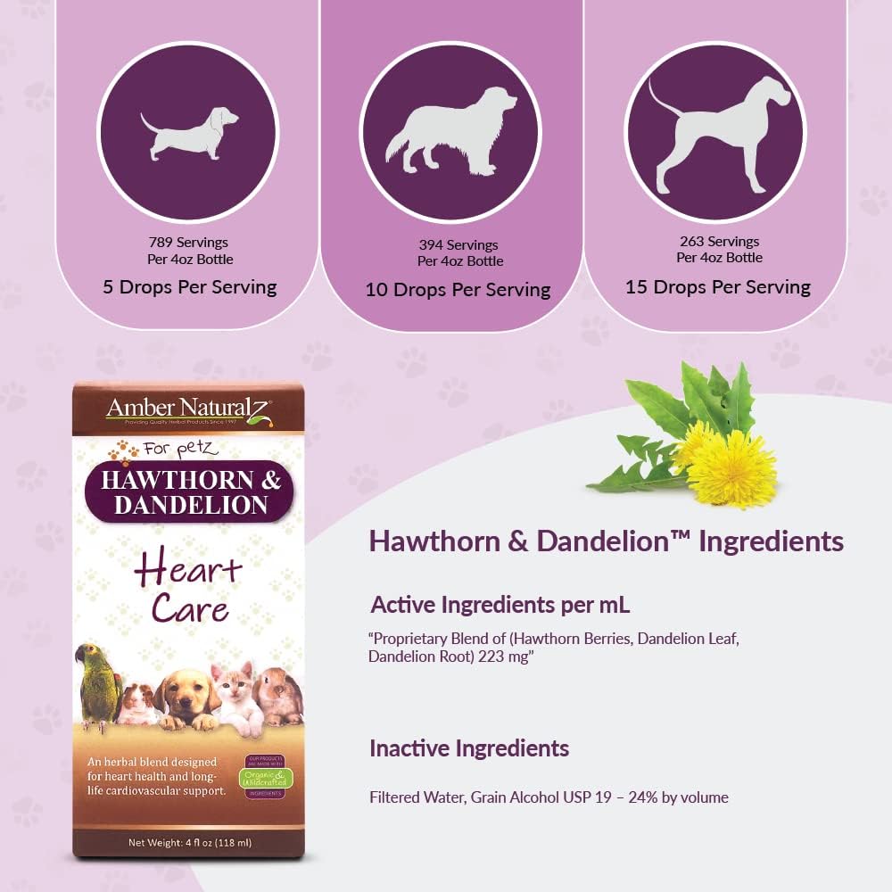 Amber NaturalZ Suplemento Herbal de Espino Blanco y Diente de León para Mascotas | Apoya la Salud Cardíaca y Circulación | 118 ml