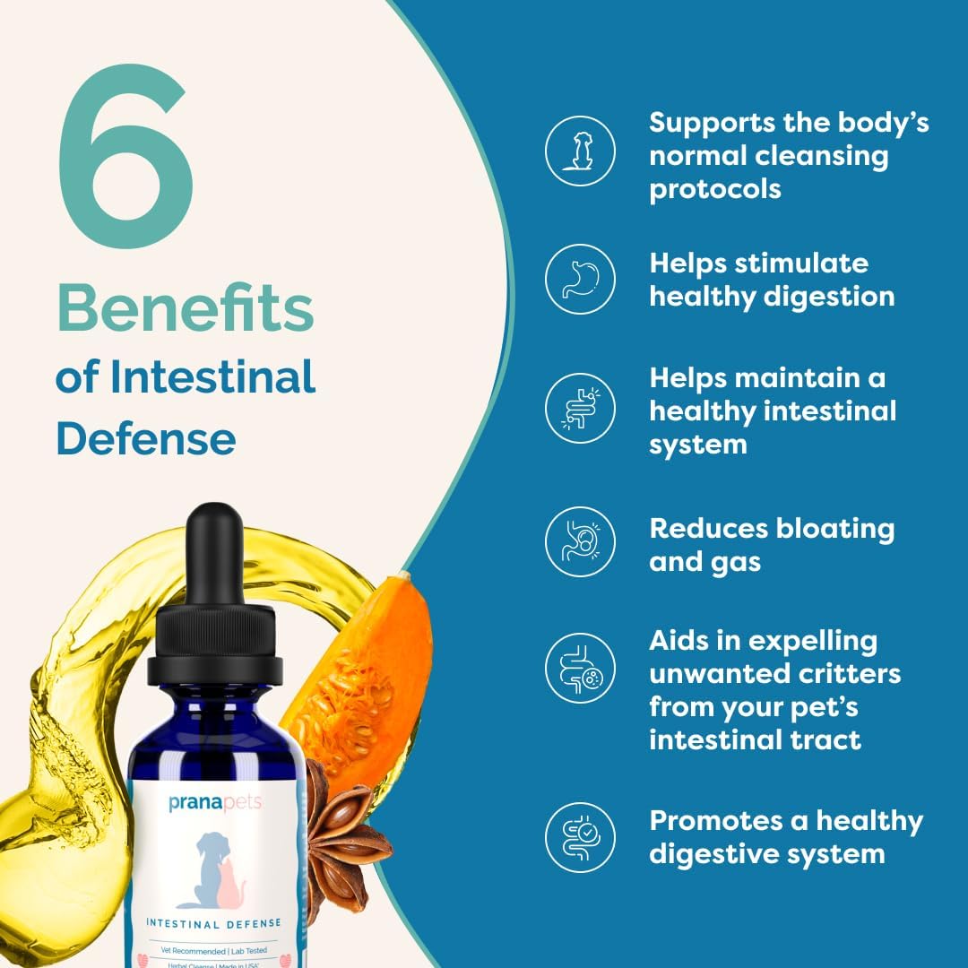 PranaPets Intestinal Defense Supplement for Dogs & Cats | Naturally Helps Digestive Issues in Pets | Herbal Formula | 2-Pack