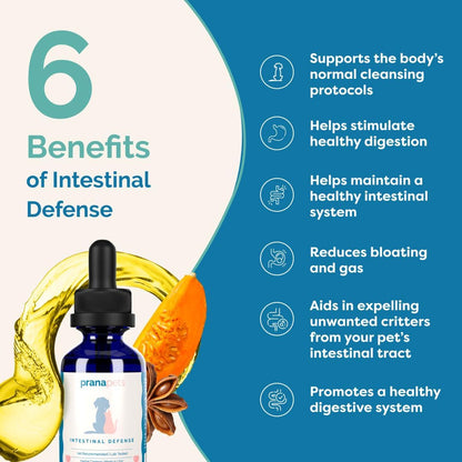 PranaPets Intestinal Defense Supplement for Dogs & Cats | Naturally Helps Digestive Issues in Pets | Herbal Formula | 2-Pack – Image 4