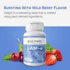 EZ Melts SAM-e Supplement 200 mg, Dissolvable Tablets, Sugar-Free, 1 Month