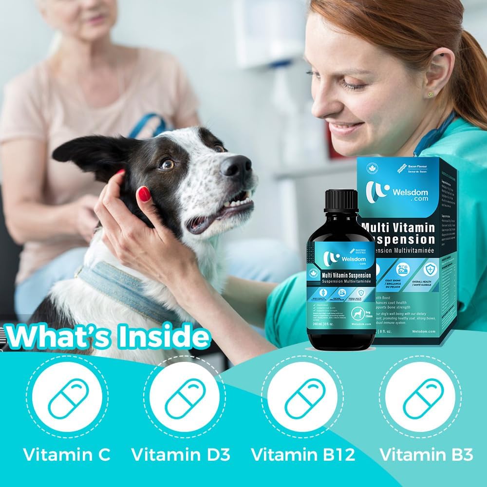 Welsdom Suspensión Multivitamínica Completa para Perros - 240 ml | Apoya la Piel, el Pelaje, los Huesos y el Sistema Inmunitario