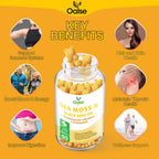 OALSE Sea Moss Gummies 2000mg - 8 en 1 con Vitamina C, D3 y Zinc - Pack de 2