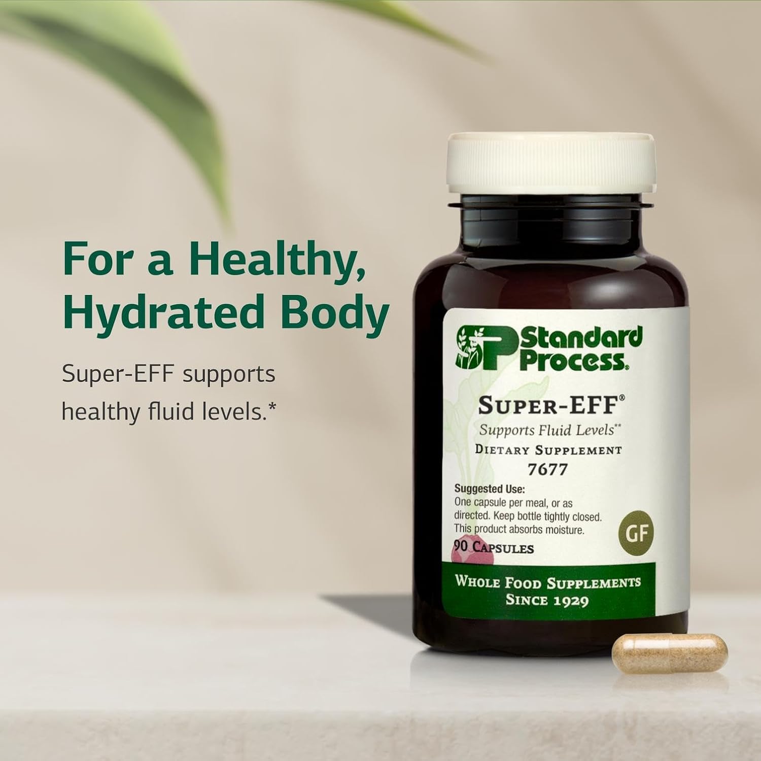 Standard Process Super-EFF - Complemento alimenticio para niveles saludables de líquidos - 90 cápsulas