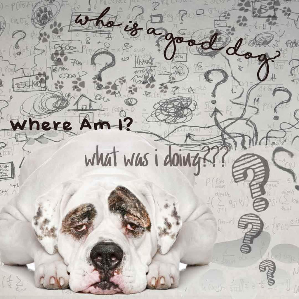 The Blissful Dog American Bulldog Age Well – Aromaterapia para Perros