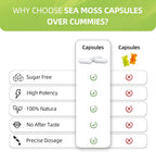 HEALOADING Cápsulas de Musgo Marino Silvestre y Vejiga de Mar - 350mg - Vegano, No OGM