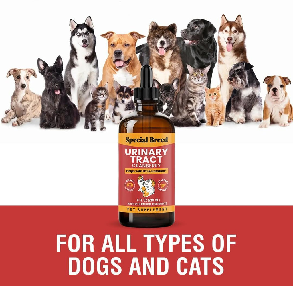 Tratamiento para Infecciones Urinarias en Perros y Gatos – Alivio Natural con Gotas de Arándano – Apoyo Renal y de Vejiga – Ayuda con Incontinencia, Micción Frecuente, Cálculos en la Vejiga – Gotas para el Cuidado Renal de Mascotas