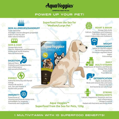 Superfood del Mar para Mascotas - 30 Sobres Diarios de 4g para Perros Medianos y Grandes (120g, Mes de Suministro) – Image 5