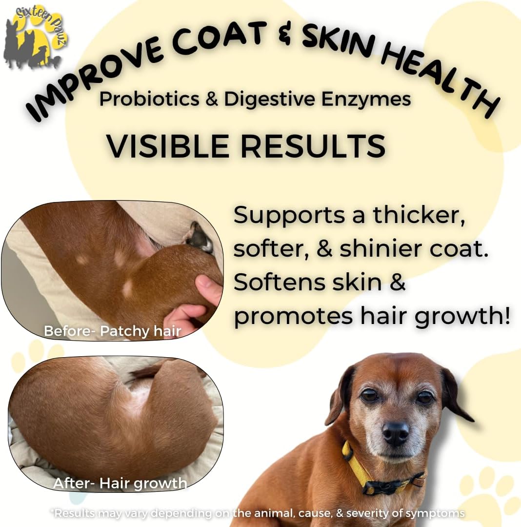 Dog & Cat Probiotics, Prebiotics, & Digestive Enzymes – Flavorless Powder for Gut Health, Allergies, Itchy Skin, Gas & – Image 4
