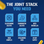 FLEXMODE High Absorption Joint Support - 30 Servicios