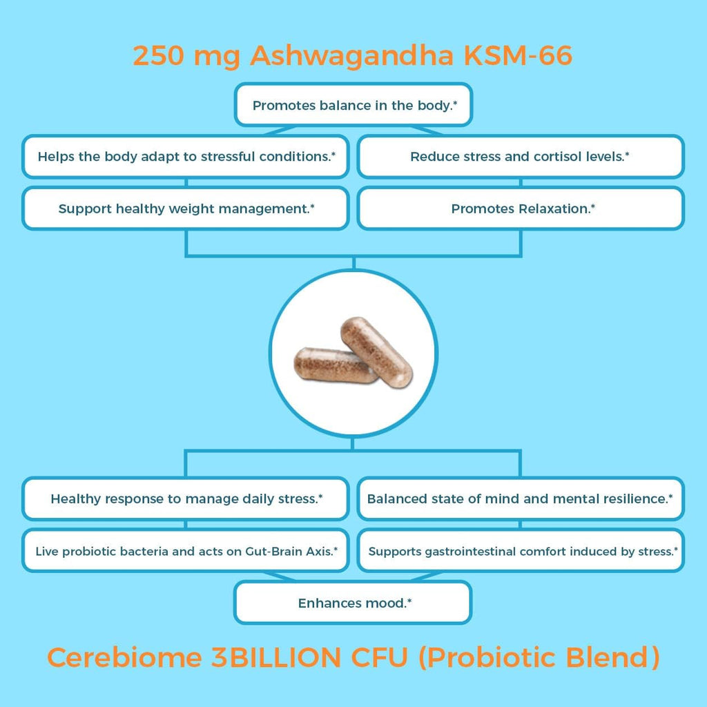 Nutricelebrity Optimal Stress Relief | Ashwagandha y Probióticos | 60 Cápsulas