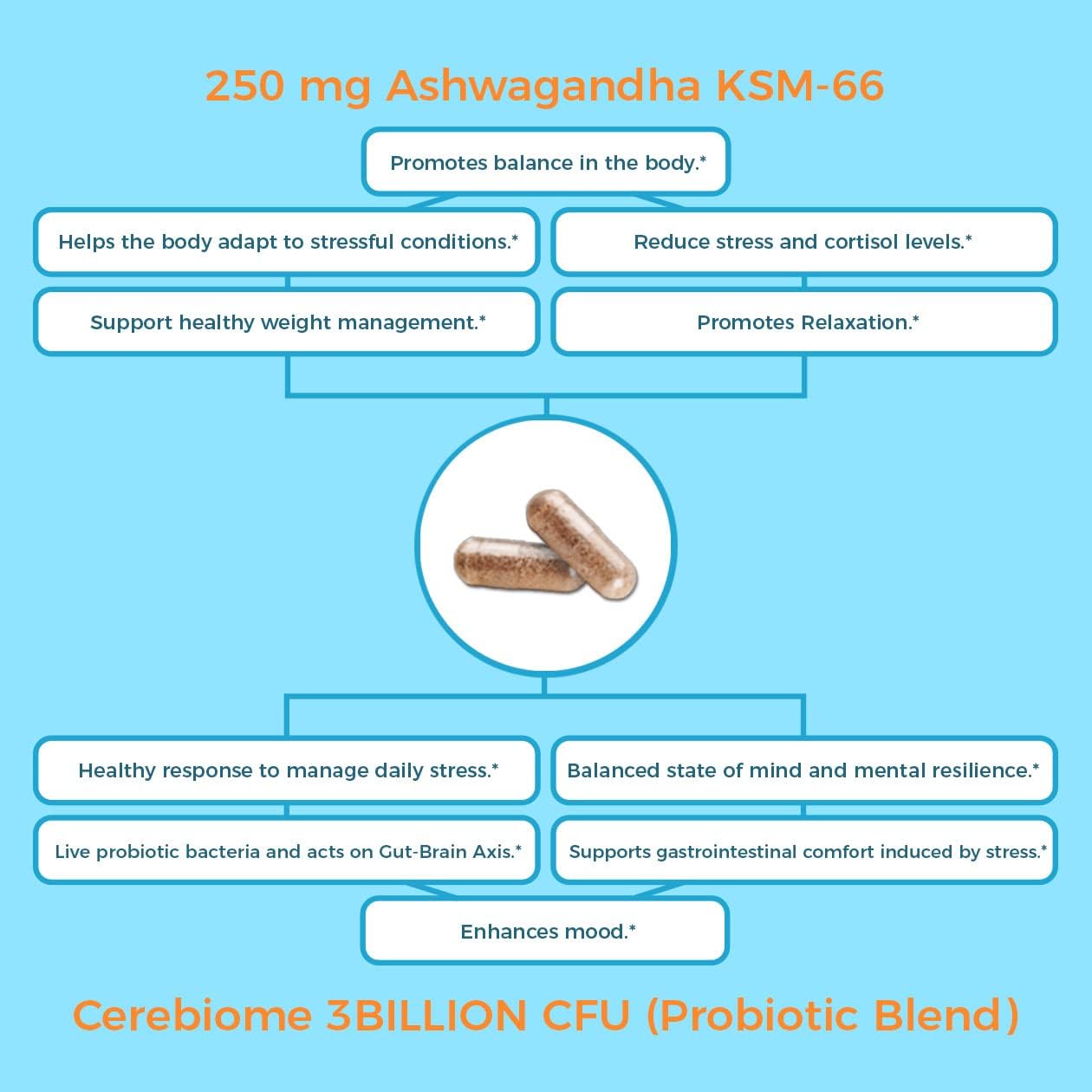 Nutricelebrity Optimal Stress Relief | Ashwagandha y Probióticos | 60 Cápsulas