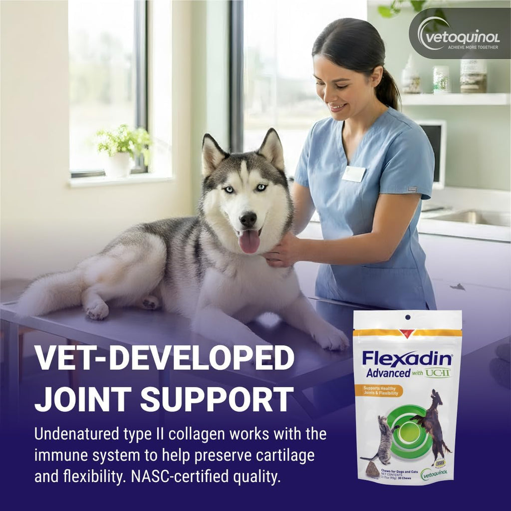 Vetoquinol Flexadin Advanced Complemento Articular para Perros con Colágeno No Desnaturalizado, 30 Masticables