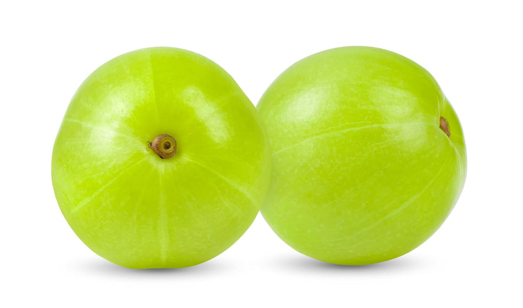 Polvo de Amla Orgánico 454 g - Iyasa Holistics