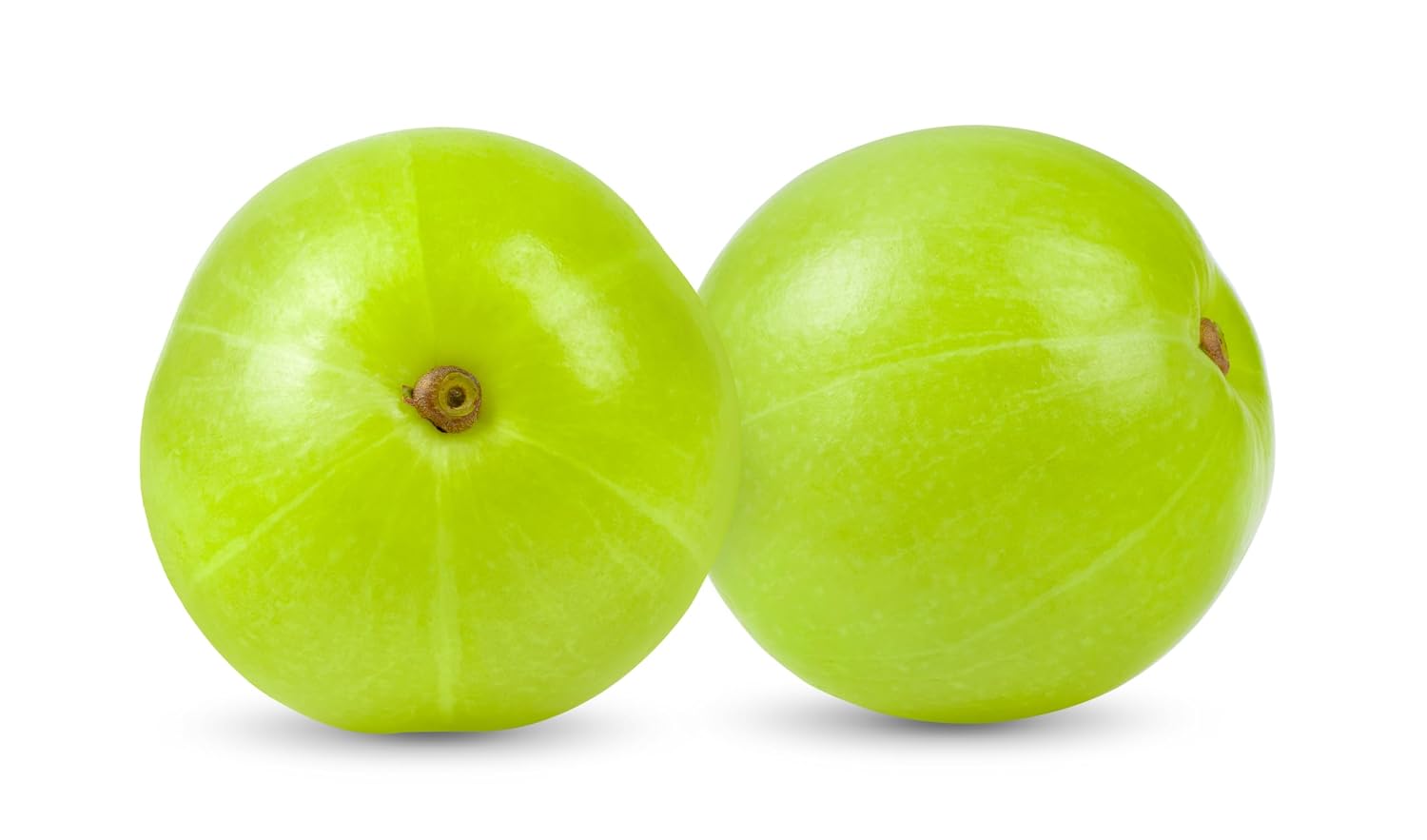 Polvo de Amla Orgánico 454 g - Iyasa Holistics