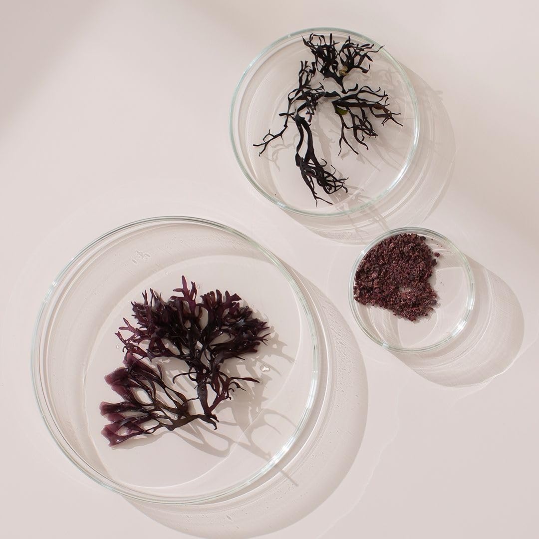 New Nordic Extracto de Irish Sea Moss - Complejo Tri-Alga con Kelp Noruego y Wakame, Vegano y Sin Gluten, 30 Comprimidos