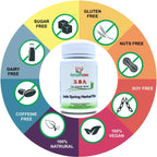 Jade Spring Herbal Pill - Yu Quan Wan (400 comprimidos)
