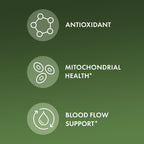 Dr. Mercola Extracto de Corteza de Pino Orgánico con OPCs - 60 Comprimidos