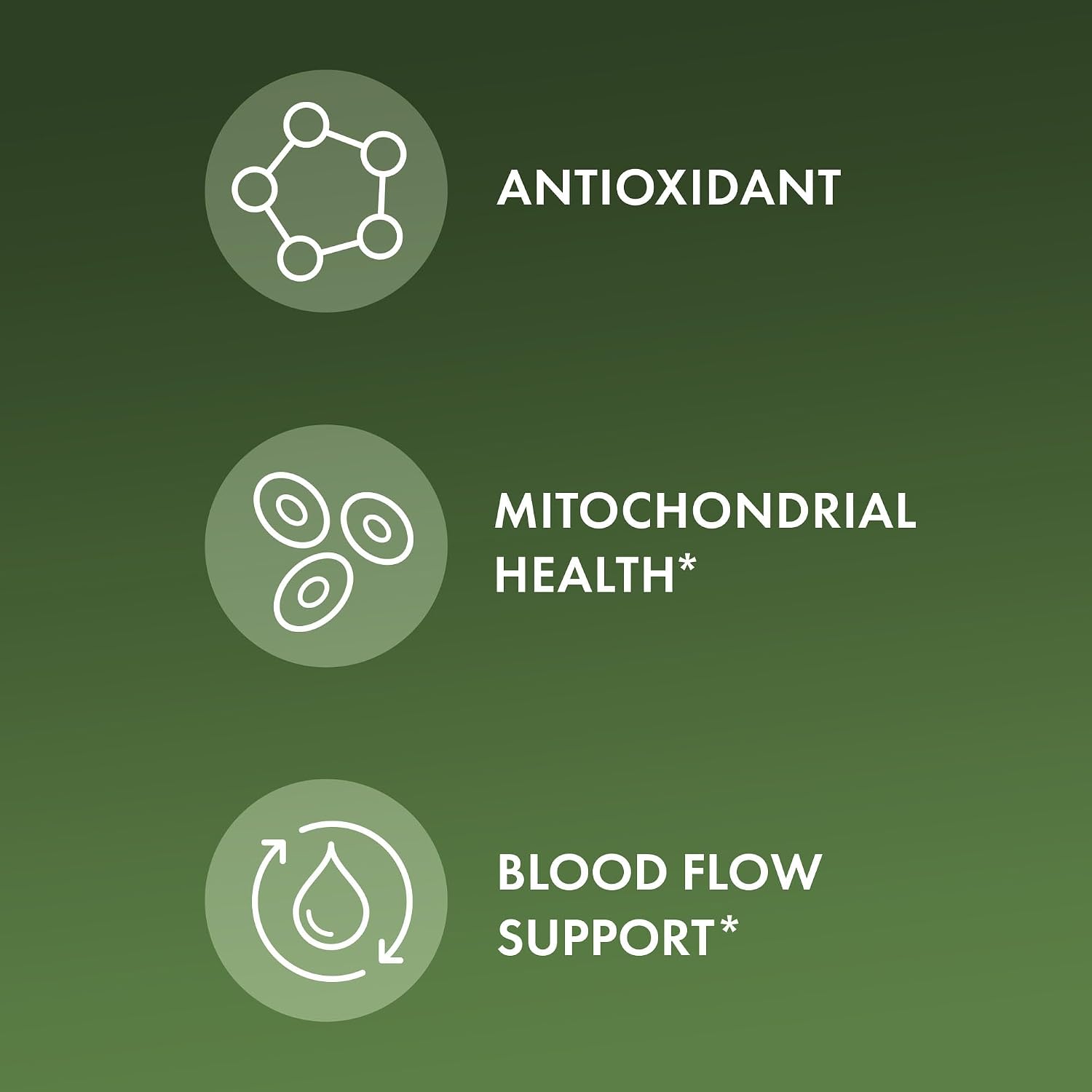 Dr. Mercola Extracto de Corteza de Pino Orgánico con OPCs - 60 Comprimidos