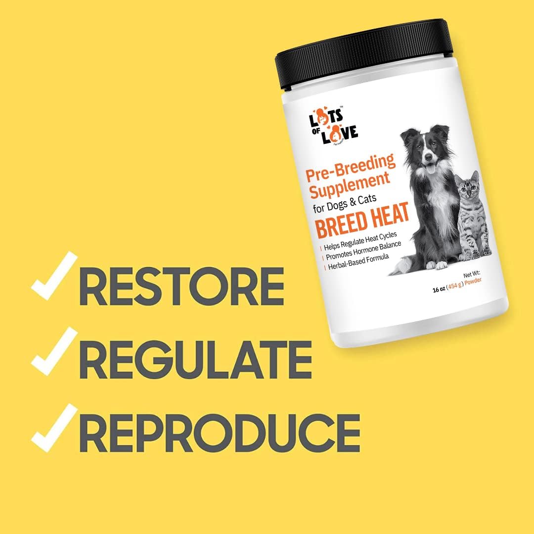 Breed Heat - Suplemento Reproductivo para Perros y Gatos (Antes Thomas Labs, Mismo Producto) - 454 g Polvo