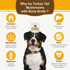 iHeartDogs Turkey Tail Mushroom para Perros - Polvo con Caldo de Huesos y Mezcla de 6 Hongos